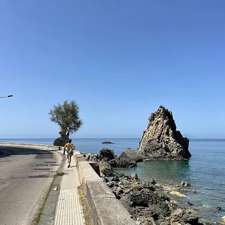 Le Palme